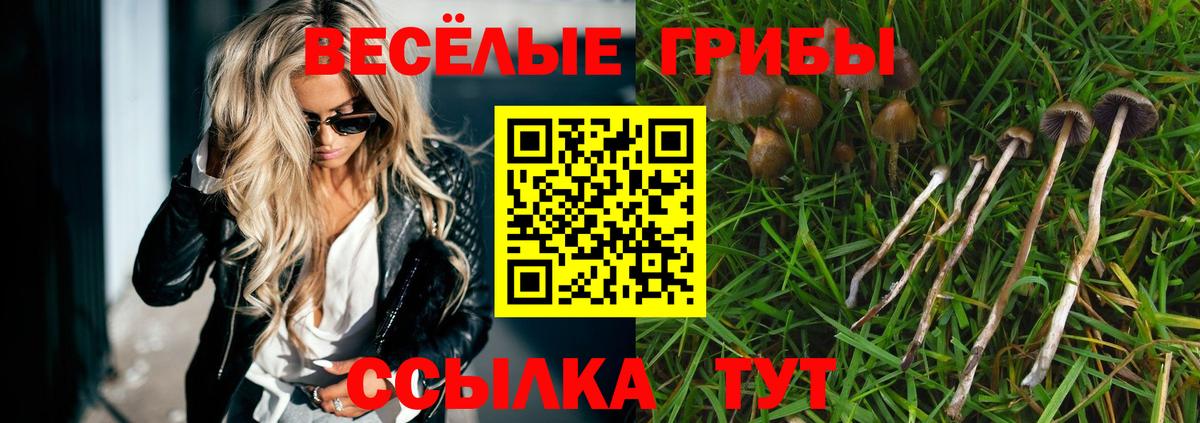 Галлюциногенные грибы Psilocybine cubensis Гусев