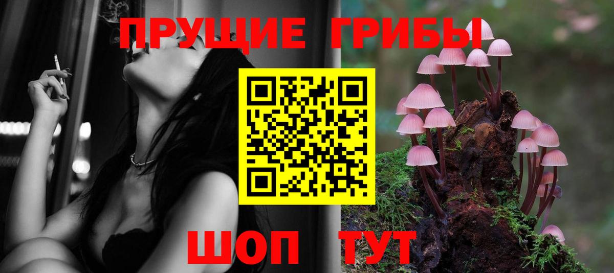 Гусев  Псилоцибиновые грибы MAGIC MUSHROOMS  Вход с VPN  Псилоцибиновые грибы Psilocybe 